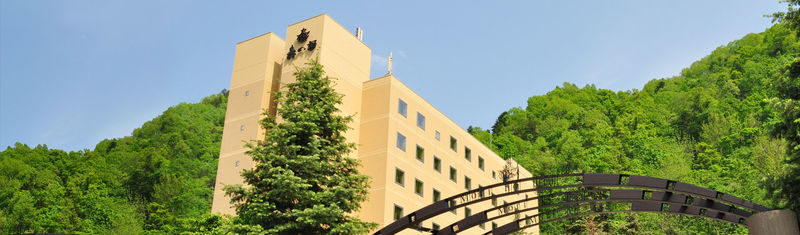 Sapporo Mori no Uta Onsen Full-Day Spa Relaxation Tour - Buffet lunch: satisfying, but not a guaranteed feast