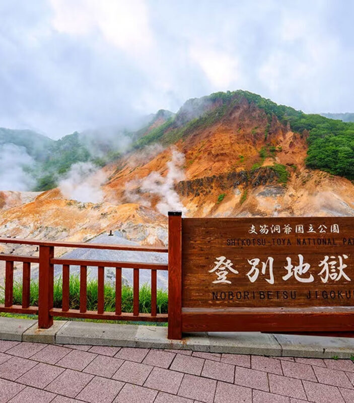 Sapporo Noboribetsu Hell Valley and Lake Shikotsu Ice Falls Festival Tour - Snow World and the optional snowmobile ride