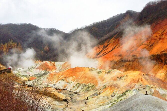 Sapporo: Noboribetsu Hell Valley, Lake Toya & Bear Farm Tour - A Detailed Look at the Tour Experience