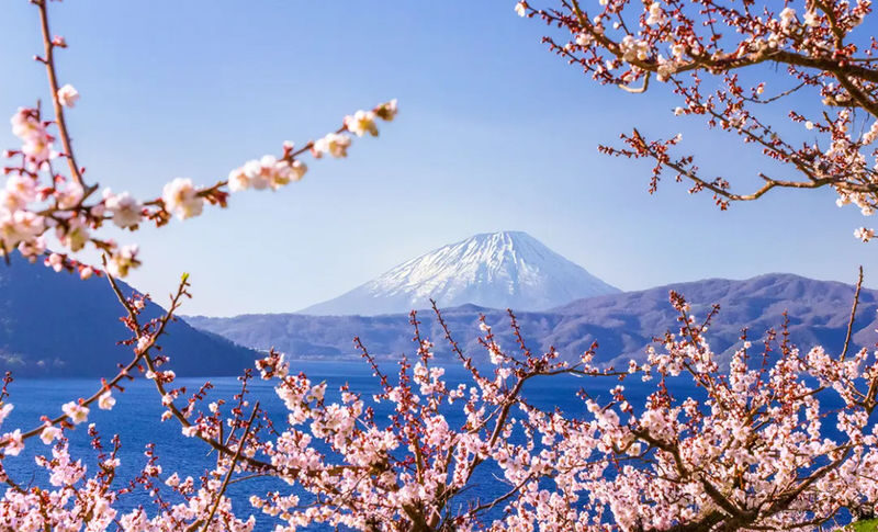 Sapporo Noboribetsu & Otaru Full-Day Sightseeing Tour - Is $53.69 good value?