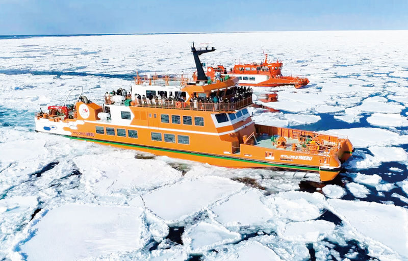 Sapporo Okhotsk Icebreaker Cruise and Sounkyo Ice Waterfall Festival Tour - The short version: what matters most