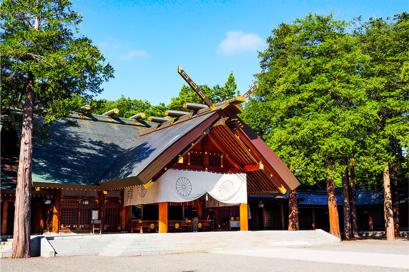 Sapporo One-Day Private Tour - A private ride, not a guided walking tour