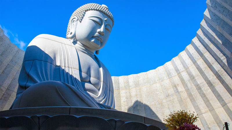 Sapporo One-Day Private Tour - Who will get the most from this tour?