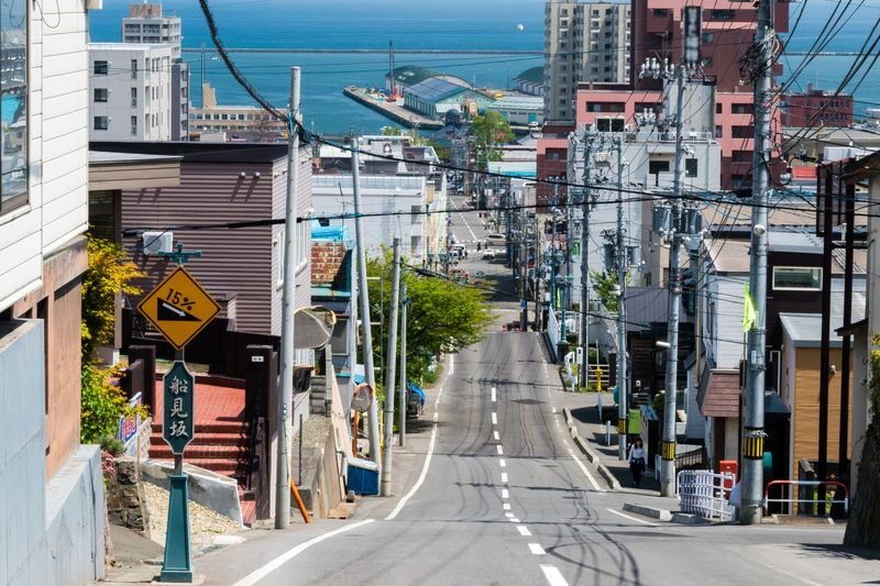 Sapporo Otaru Canal Full-Day Private Walking Tour - The real cost is more than $212.95