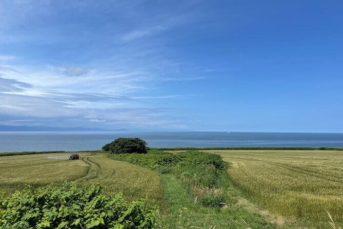 Sapporo privete tour: Royce Town, Autumn Foliage, Sunset Viewing - What You’ll Experience and Why It Matters