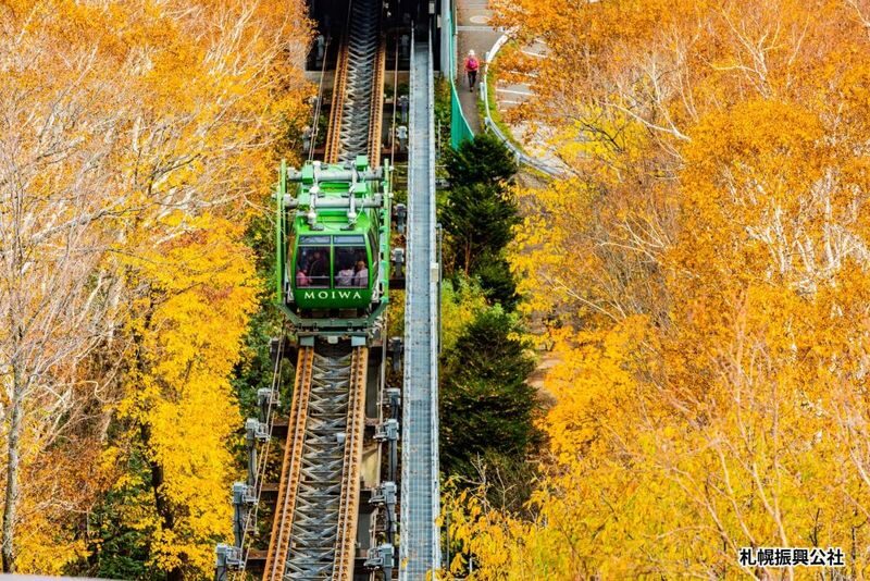 Sapporo ROYCECHOCOLATE TOWN & Mt. Moiwa& Central Wholesale Market - Who should book this Sapporo tour?