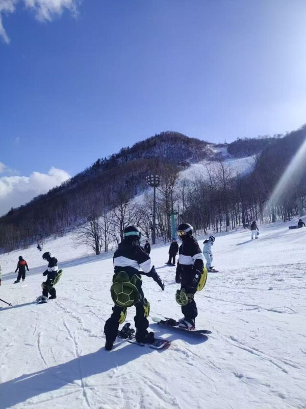 Sapporo Teine Ski Resort Private Full-Day Experience - What the price buys, and where value depends