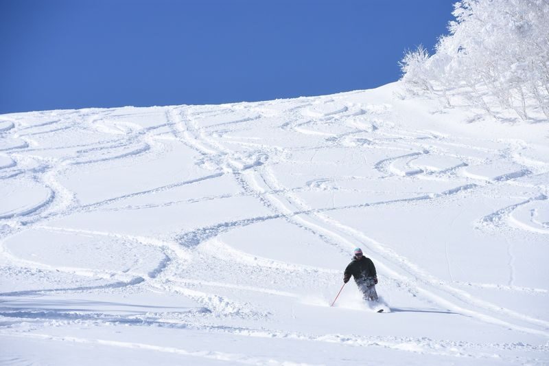 Sapporo Teine Ski Resort with Bus and Lift Ticket - From Sapporo hotel lobby to the slopes