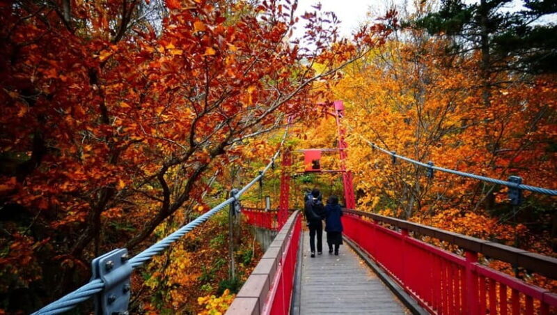 Sapporo: The Indigenous Ainu People & Jozankei walking tour - Key Points