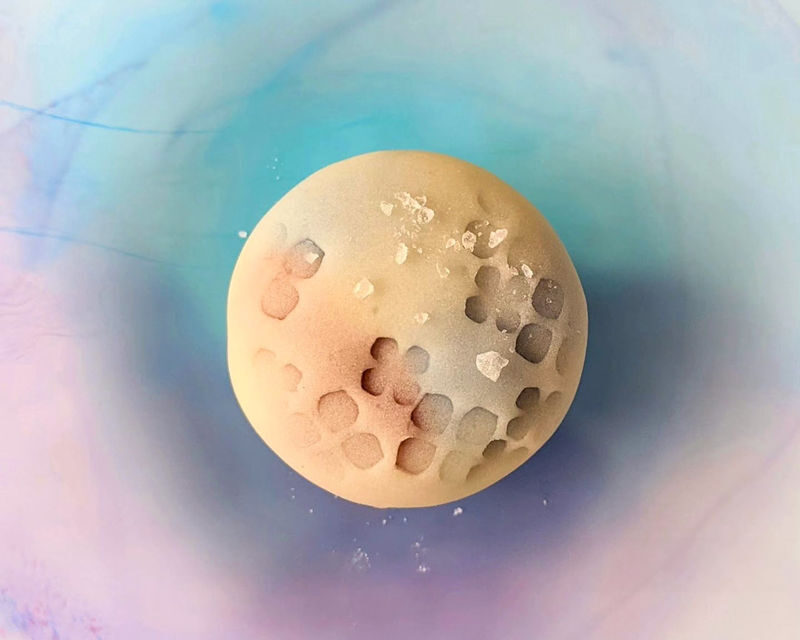 Sapporo Wagashi Sweets Making - Is $70.25 good value?