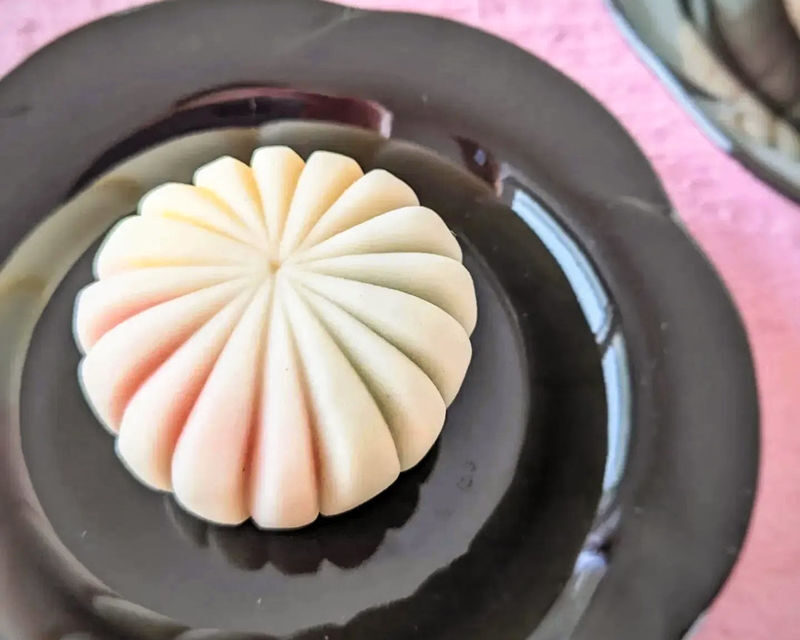 Sapporo Wagashi Sweets Making - Should you book Yuki’s wagashi class?