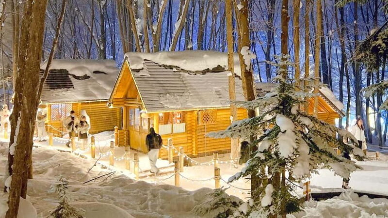 Sapporo Winter : Asahiyama Zoo (Penguin Fun & Snowmobile) - Practical Tips for Your Hokkaido Winter Adventure