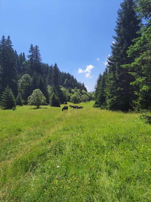 Sarajevo Sport tour: Olympic Mountains and Stadium Tour - Discovering Sarajevo’s Olympic Legacy