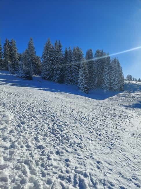 Sarajevo Sport tour: Olympic Mountains and Stadium Tour - Mountain Igman: The Jumping Slopes and Scenic Views
