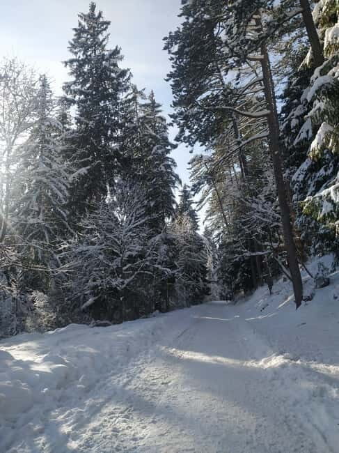 Sarajevo Sport tour: Olympic Mountains and Stadium Tour - The Sum Up: Is This Tour Worth Your Time?
