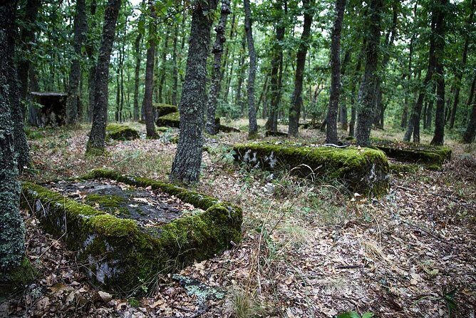 Sarajevo to/from Belgrade UNESCO Transfer Day Tour (Fees Incl.) - Final Thoughts
