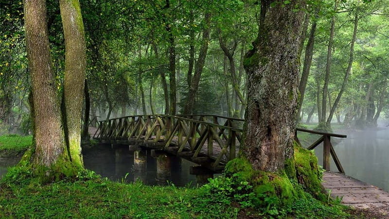 Sarajevo: Vrelo Bosne Nature Park Private Tour - What to Do at Vrelo Bosne