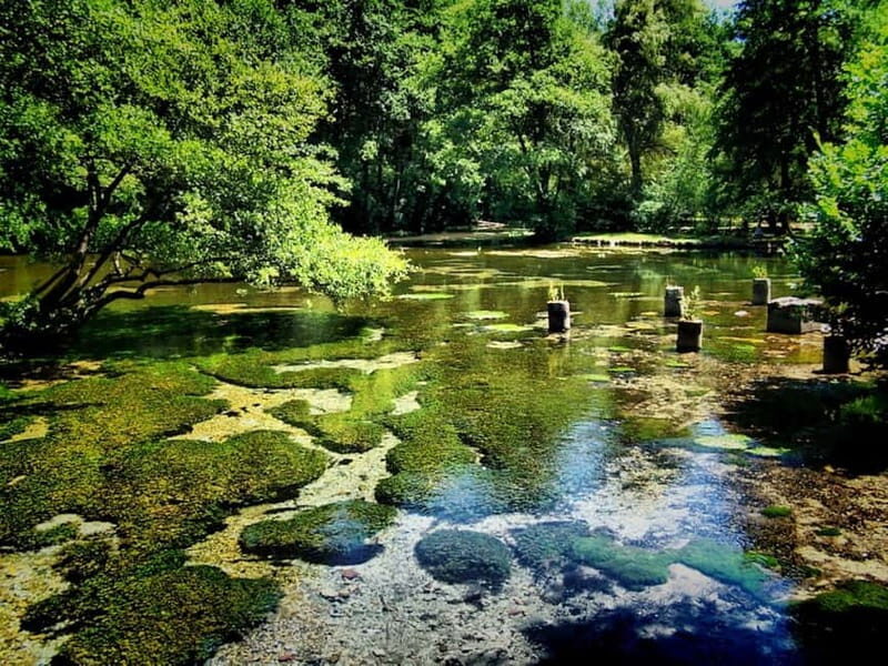 Sarajevo: Vrelo Bosne Nature Park Private Tour - Guided Tour Insights: Personal Touch and Local Knowledge
