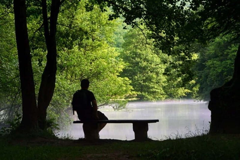 Sarajevo: Vrelo Bosne Nature Park Private Tour - Summary