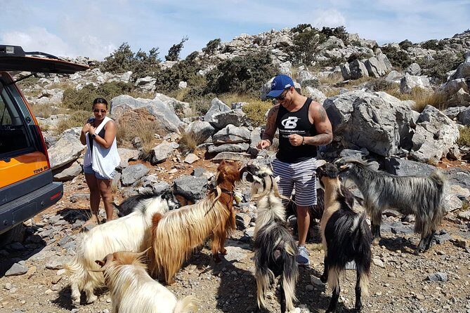 Sarakina Gorge, Kritza, Oliveoil Tasting, Mountains, South Coast - FAQ