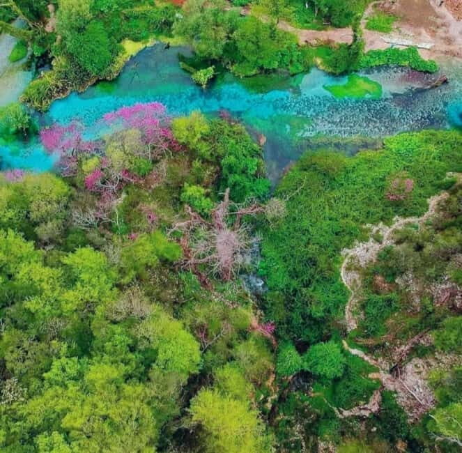 Saranda: Butrint, Ksamil, Blue Eye and Lekuresi Castle Tour - Who Is This Tour Best For?