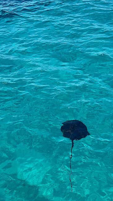 Sarandë: Cruise with Wine, Snorkel at Shipwreck & Swim Stops - Key Points