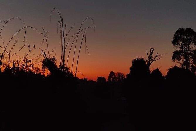 Sarangkot Sunrise Tour in Private Car - Sarangkot Sunrise Tour in Private Car: A Detailed Review