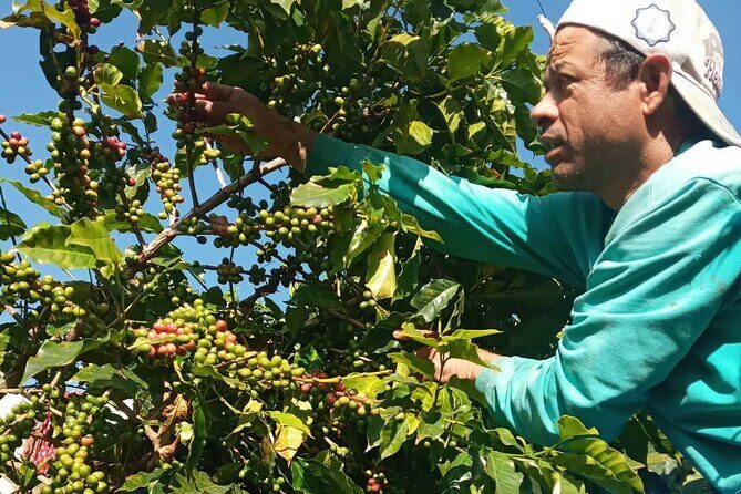 Sarangkot Village Coffee Culture and Authentic Local Life Tour - Who Should Consider This Tour?