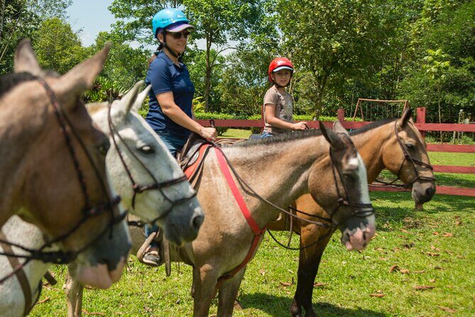 Sarapiqui Forest Horseback Riding Experience in Costa Rica - Who Will Love This Tour?