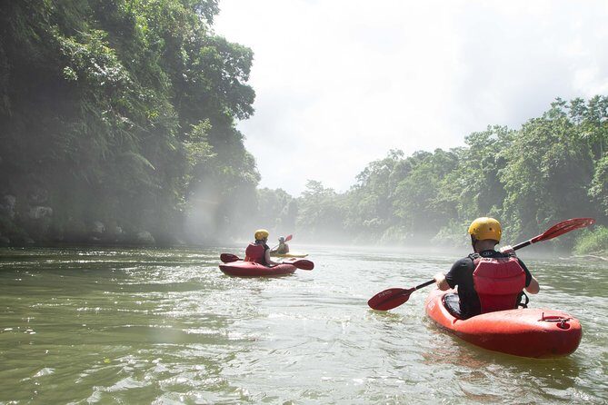 Sarapiquí River Jungle Kayak Tour - An In-Depth Look at the Sarapiquí River Jungle Kayak Tour
