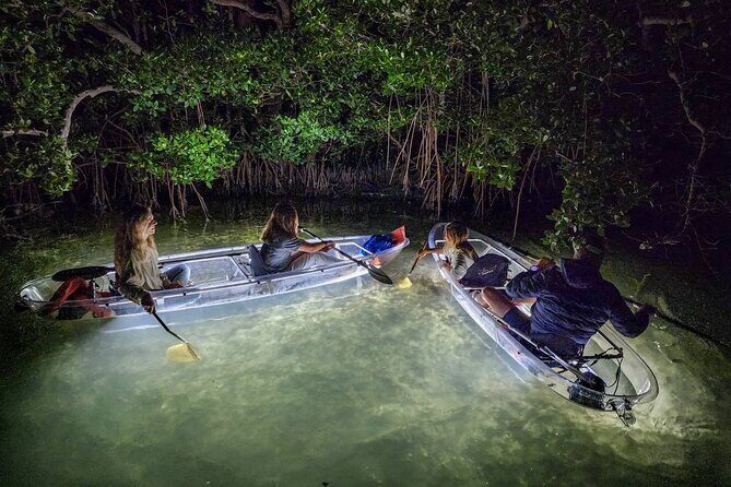 Sarasota - Clear Kayak LED Night Glass Bottom Tour - Sarasota - Clear Kayak LED Night Glass Bottom Tour