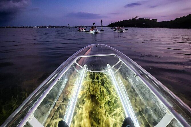 Sarasota - Clear Kayak LED Night Glass Bottom Tour - An Honest Look at Sarasota’s LED Night Glass Bottom Kayak Tour