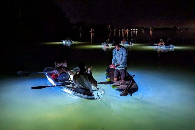 Sarasota - Clear Kayak LED Night Glass Bottom Tour - The Sum Up