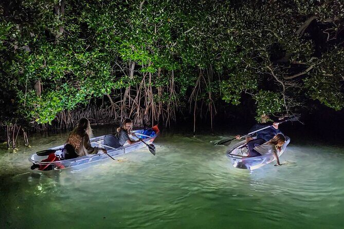 Sarasota - Clear Kayak LED Night Glass Bottom Tour - FAQ