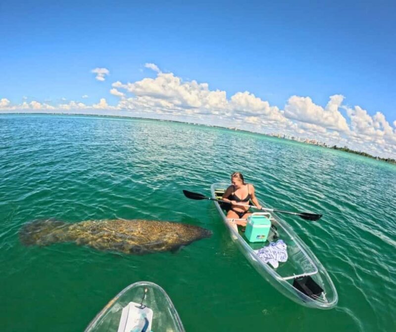 Sarasota: Clear Kayak Mangrove Tunnel & Beach Hopping Tour - FAQ