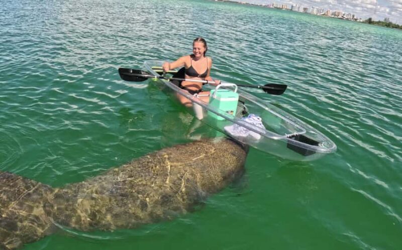 Sarasota: Clear Kayak Mangrove Tunnel Eco Tour - Exploring the Mangrove Tunnels
