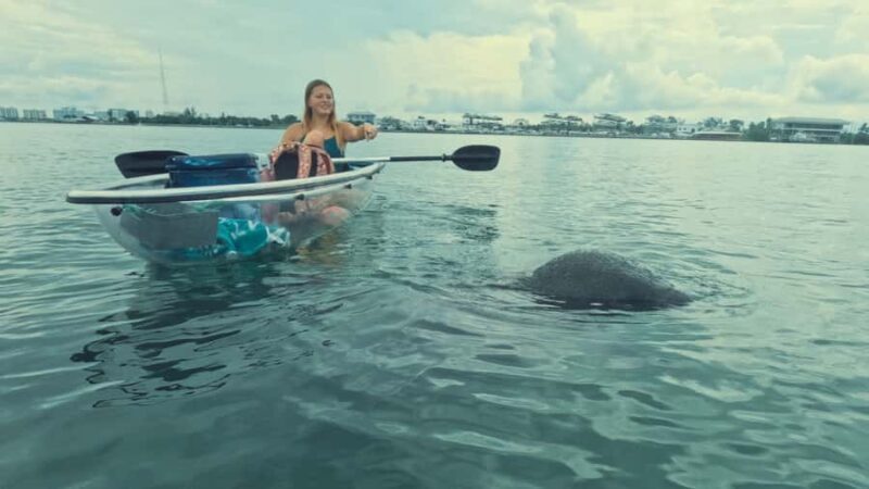 Sarasota: Clear Kayak Mangrove Tunnel Eco Tour - Authentic Experiences and Real Feedback