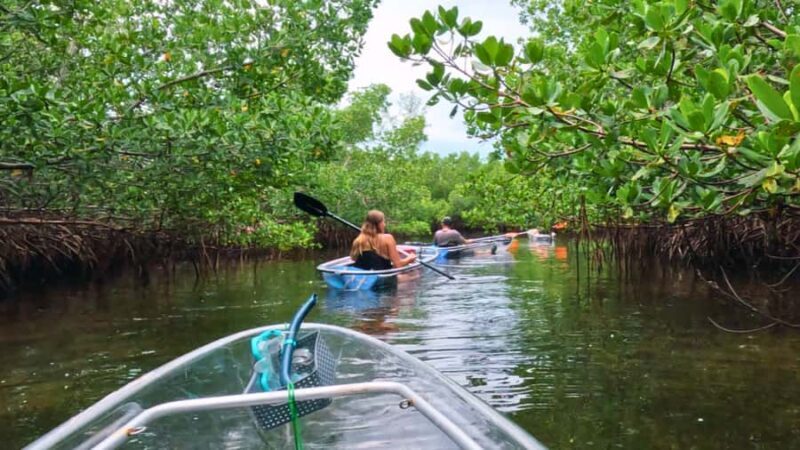 Sarasota: Clear Kayak Mangrove Tunnel Eco Tour - Frequently Asked Questions