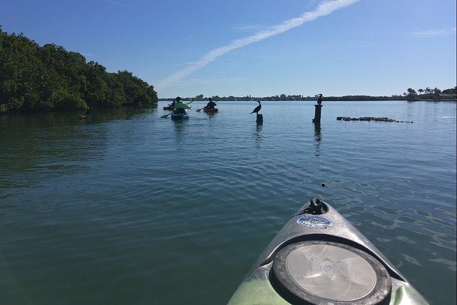 Sarasota Guided Mangrove Tunnel Kayak Tour - An Honest Guide to the Sarasota Mangrove Tunnel Kayak Tour