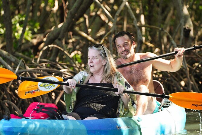 Sarasota Kayak and Food Tour - An In-Depth Look at the Sarasota Kayak and Food Tour