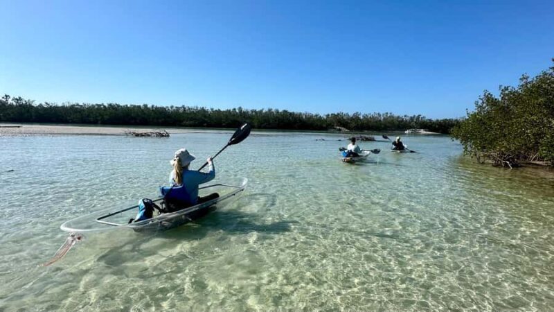 Sarasota: Siesta Key Clear Kayak Tour with Guide - Why This Kayak Tour Stands Out
