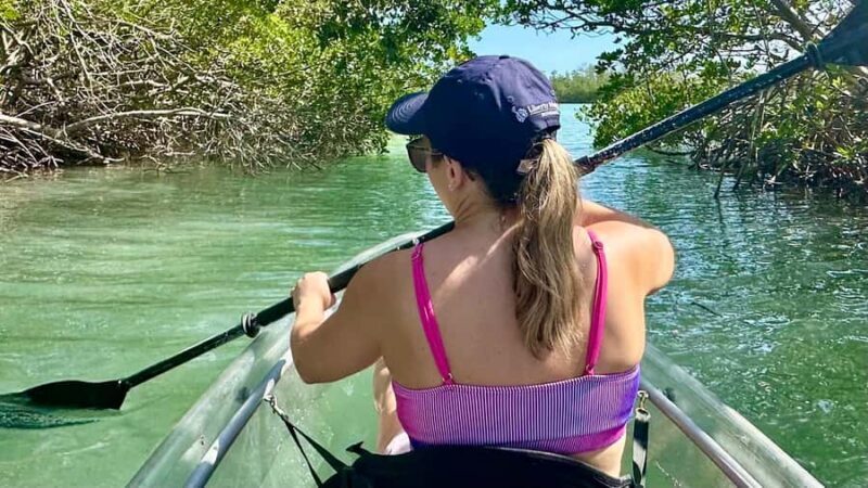 Sarasota: Siesta Key Clear Kayak Tour with Guide - Price & Value