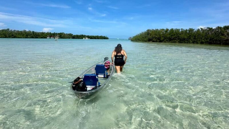 Sarasota: Siesta Key Clear Kayak Tour with Guide - Who Will Love This Tour