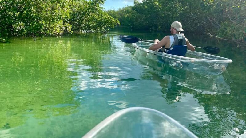 Sarasota: Siesta Key Clear Kayak Tour with Guide - FAQs