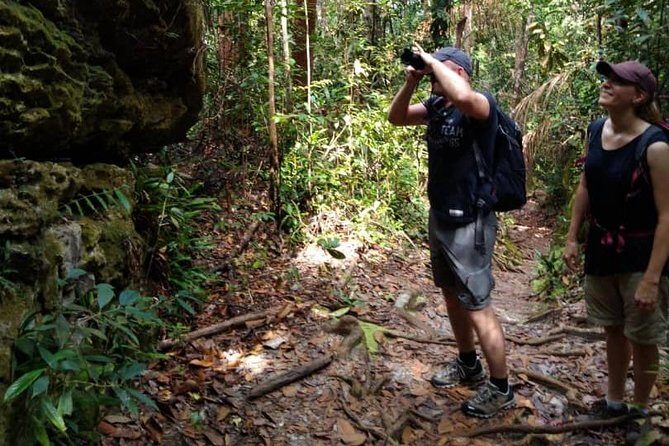 Sarawak Bako National Park Tour : Pristine Rainforest Jungle - FAQ