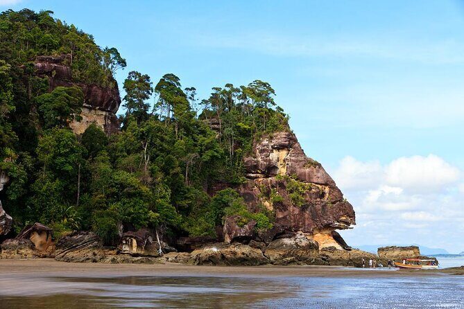 Sarawak Bako National Park Tour : Rainforest Flora & Fauna - Introduction: A Day in Bako’s Wilderness