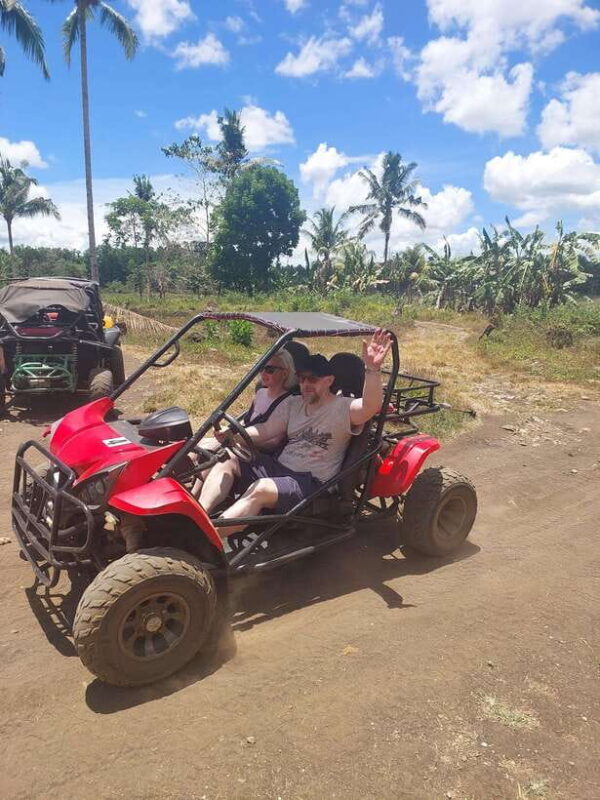 Sardines, chocolate hills, tarsiers, ATV,floating restaurant - Final Thoughts: Is This Tour Worth It?