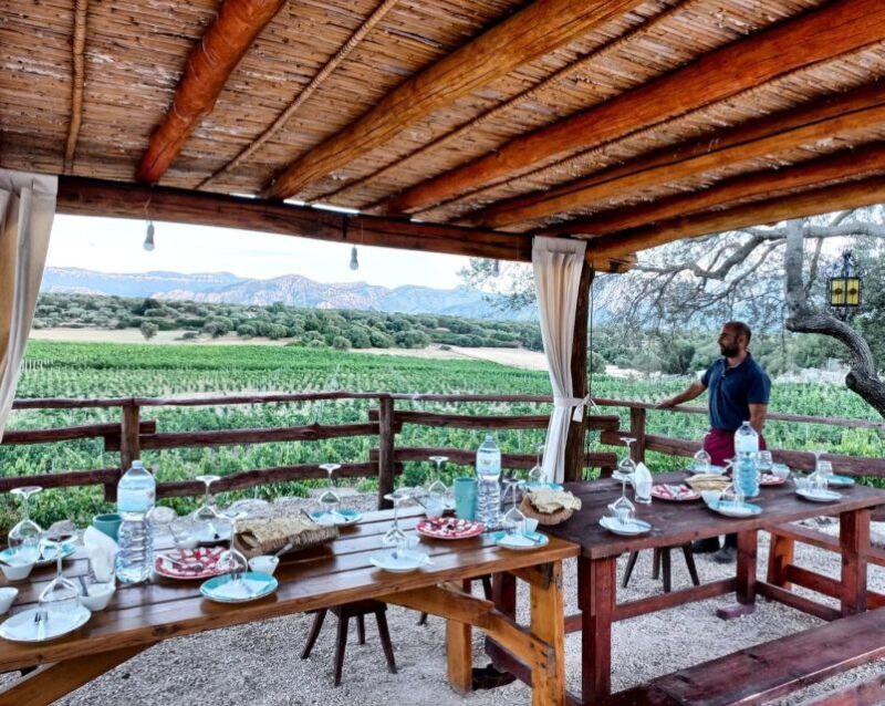 Sardinia: Dorgali Winery Tour with Tasting and Local Guide - Key Points
