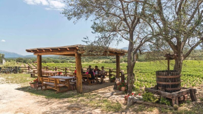 Sardinia: Dorgali Winery Tour with Tasting and Local Guide - Frequently Asked Questions