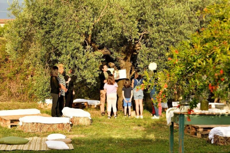 SARDINIA FOOD Tour in the oil mill, with tasting, at sunset. - Final Thoughts